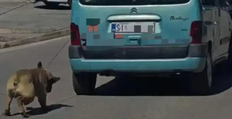 Dno dna: Pas vezan za automobil i vučen kroz grad! Uznemirujući snimak izazvao ogorčenje