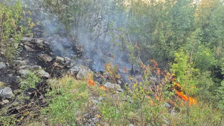 Požar kod Trebinja, vatra se širi prema selima