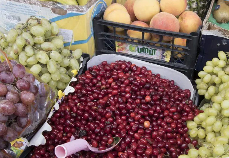 Svuda rastu, a malo ko ih bere: Ovo je jedna od najpotcjenjenijih voćki u našim krajevima