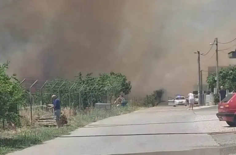 Veliki požar kod Mostara: Snažan vjetar širi vatrenu stihiju prema kućama (VIDEO)