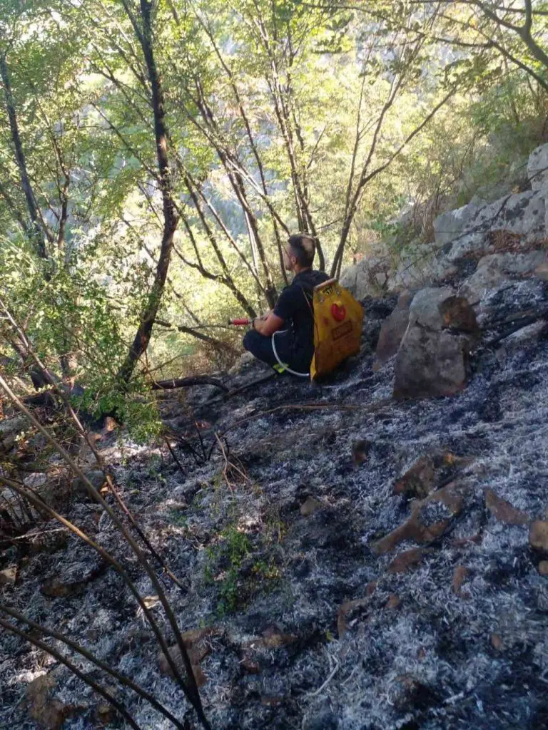 Vis: Požar kod Komiže gase vatrogasci i kanaderi