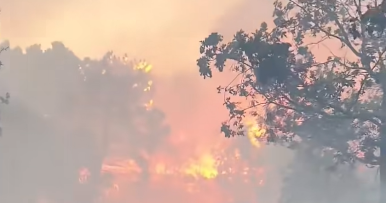 Veliki požar i na Pelješcu, upućena četiri kanadera