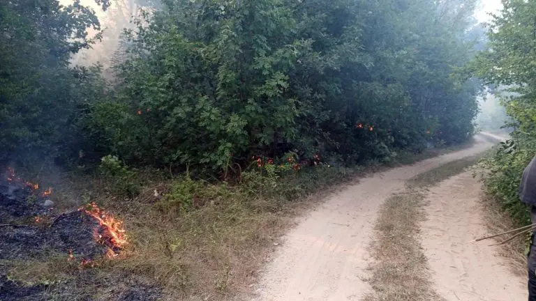 TREBINJE: Svi na terenu, brane da se vatra ne približi gradu
