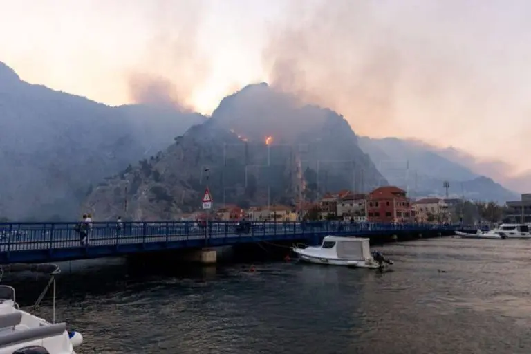 Svi misle da je ovo drvo dežurni krivac za požare na Jadranu, ali stručnjaci otkrivaju šta zapravo stoji iza katastrofe kod Omiša