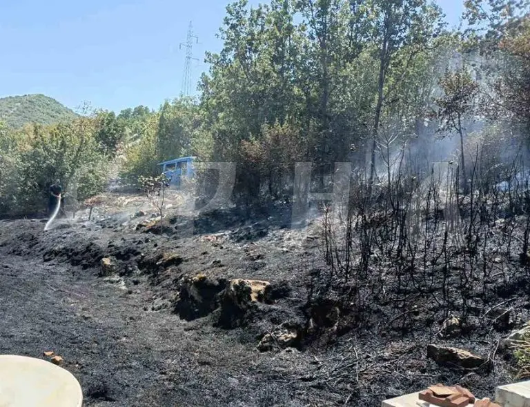 Trebinje: Cjelodnevna borba s požarom, u pomoć stigao i helikopter