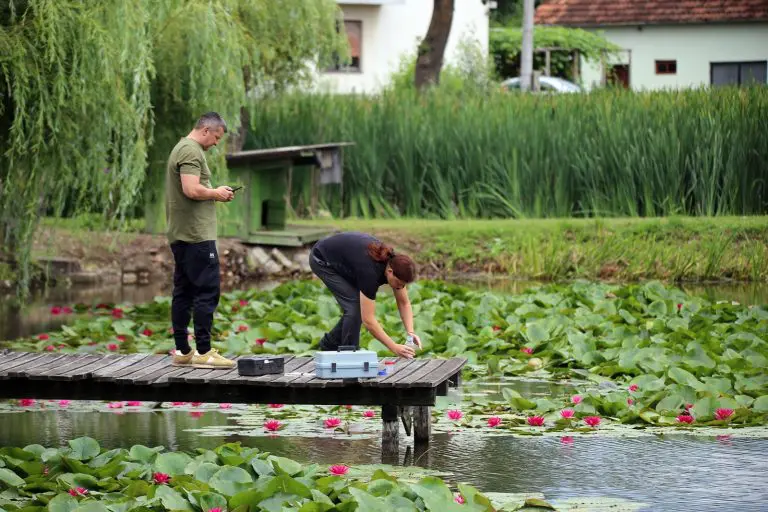 Čuvaju močvare, spašavaju ribu i pomažu rodama: Upoznajte banjalučke čuvare prirode