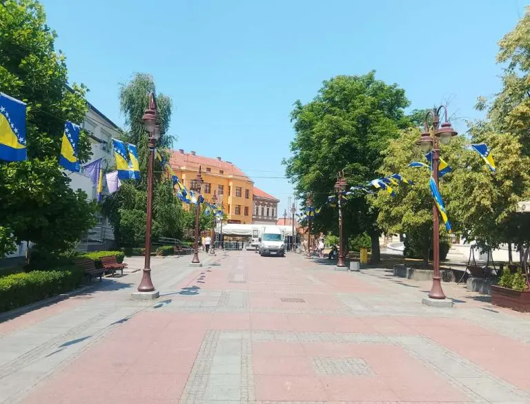 Privremena obustava primjene BCG vakcine u Brčko distriktu BiH