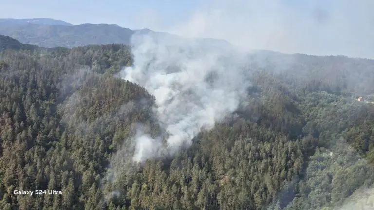 Požar na Čvrsnici i dalje aktivan, očekuje se pomoć helikoptera OS BiH 
