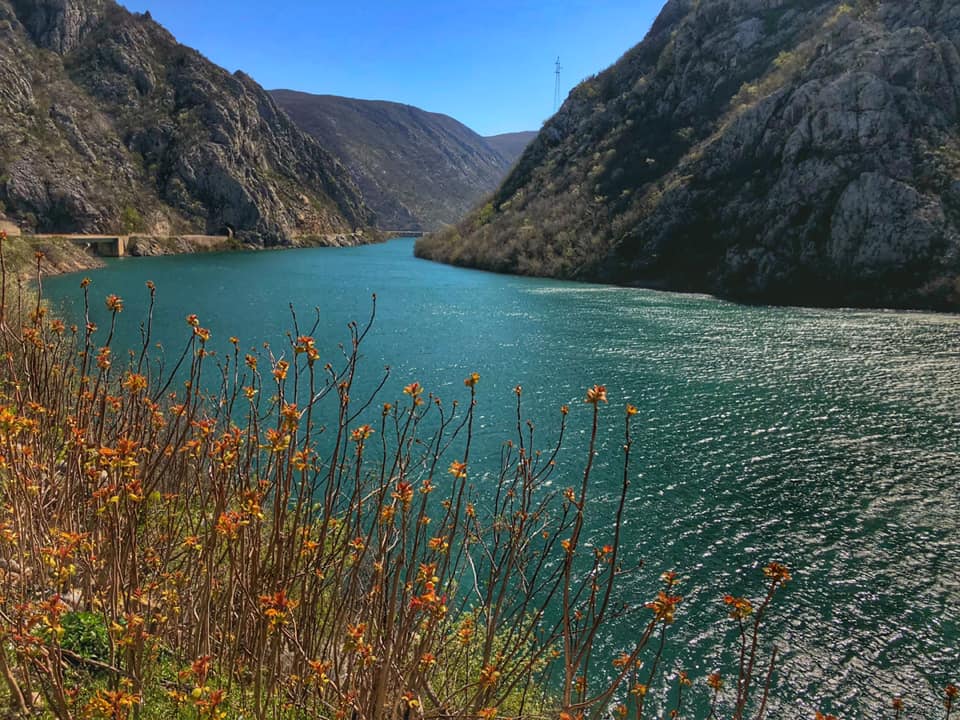 Foto: A. Trifunović