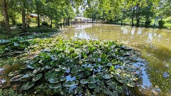 U BiH se može uspjeti! Bračni par Mujanović izgradio oazu mira s atraktivnim turističkim sadržajima