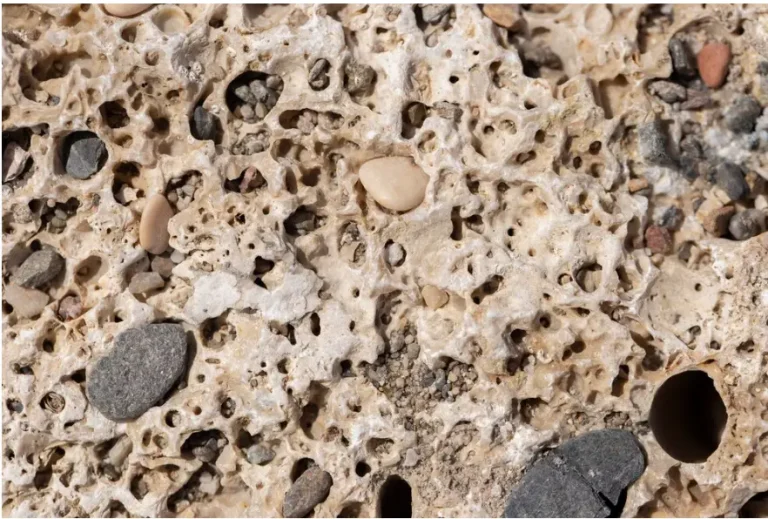 Istraživači duboko ispod pijeska u pustinji pronašli ‘blago’ staro 15 miliona godina