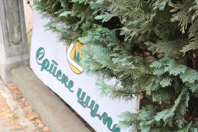 Radnici Šuma RS u štrajku: Neisplaćene plate i doprinosi dovode do sedmodnevne obustave rada