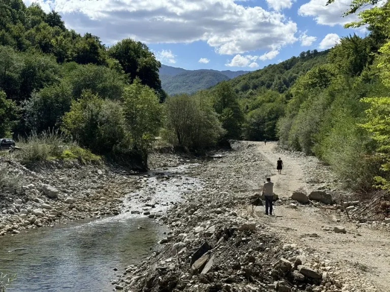 Jedna od posljednjih divljih rijeka u BiH u okovima: Hidroelektrane prijete da progutaju Sutjesku