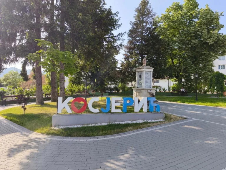 Lokalni izbori u Kosjeriću: Neregularnosti, kupovina glasova i pčele batinaši