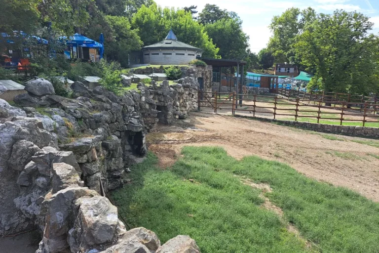 Panika u Zoološkom vrtu u Beogradu: Zebra pobjegla iz kaveza, povrijeđeni dijete i muškarac