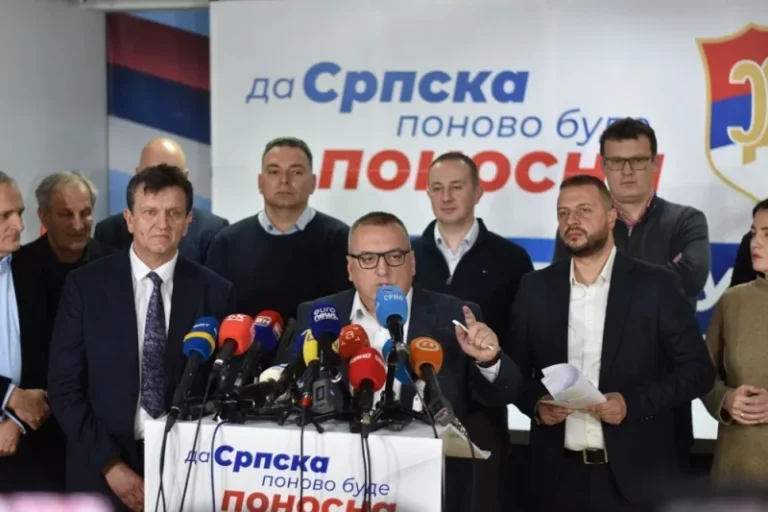 SDS o odluci CIK-a o poništavanju izbora: Tražimo novu odluku!