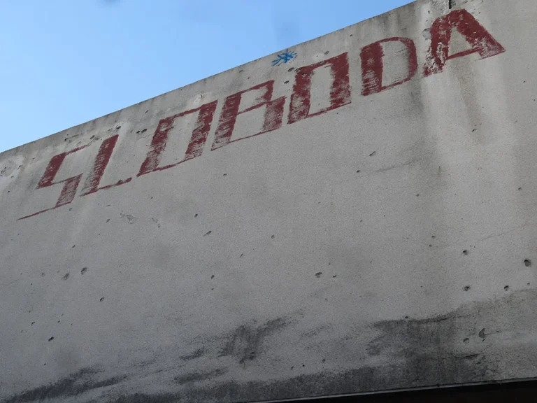 Dejan Ilić: Malo nam za sreću treba