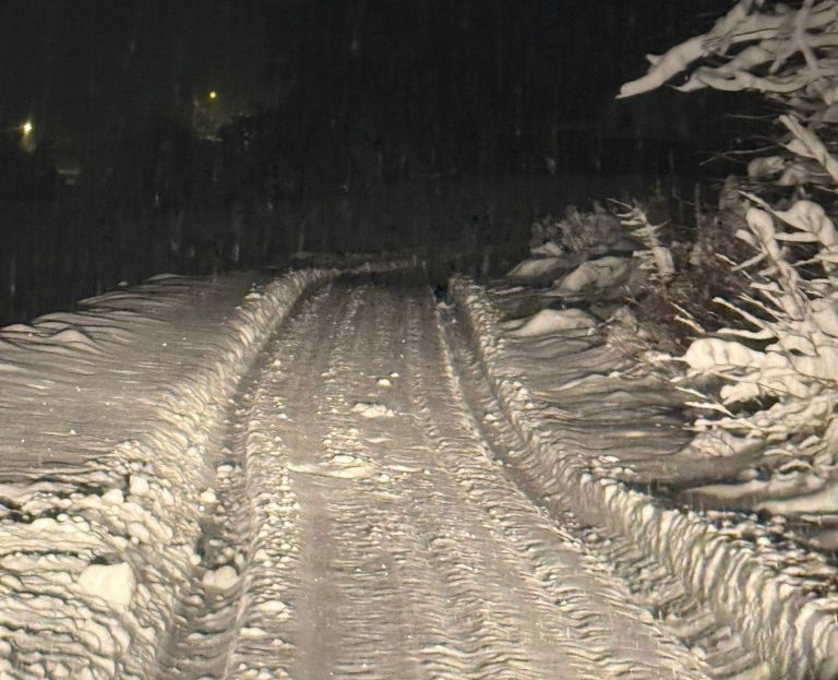 Mještani Visokog se žale da su naselja u kojem žive neočišćena: Gradska uprava sve demantuje