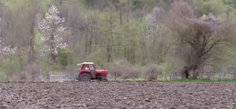Najskuplja proljetna sjetva do sada: Ratari upozoravaju – prijeti pad proizvodnje i novi talas poskupljenja hrane