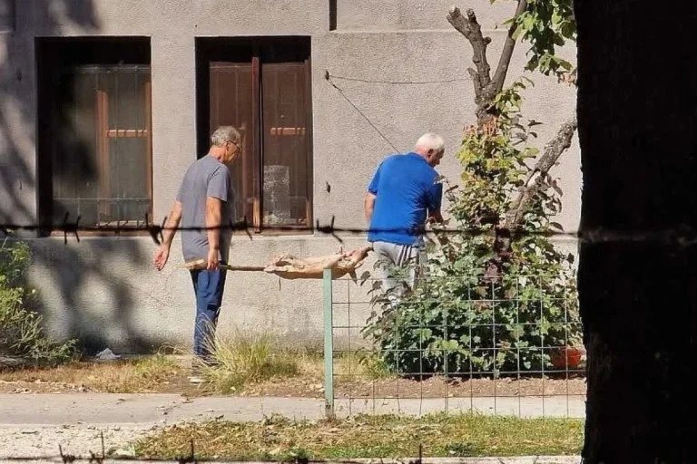 PEČENJE PRASETA U BOTANIČKOJ BAŠTI DOBILO EPILOG: Evo kolika je kazna napisana u Sarajevu