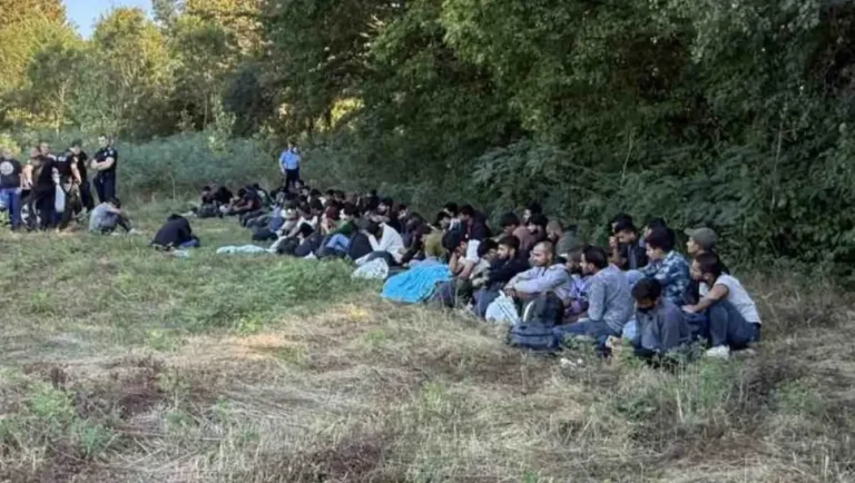 POLICIJA SA DRONOVIMA ČEŠLJA BISTRICU KOD GRADIŠKE: Pronađeno stotinu migranata, u toku bezbjednosne provjere