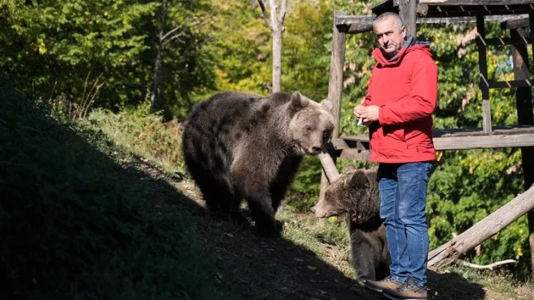 Medvjedice pronašle dom na Ozrenu: Maša i Ljubica vole bombone, pizzu i maženje